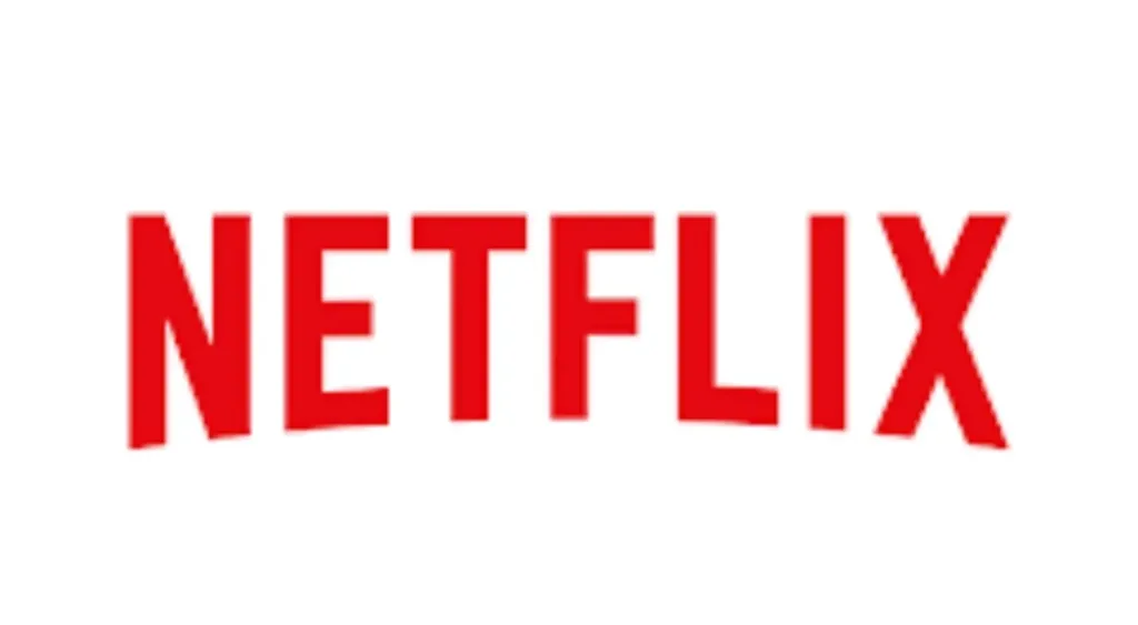 Abonnement Netflix 12 mois